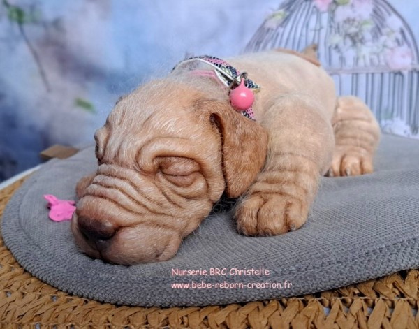 Benni Simon Laurens  (2)